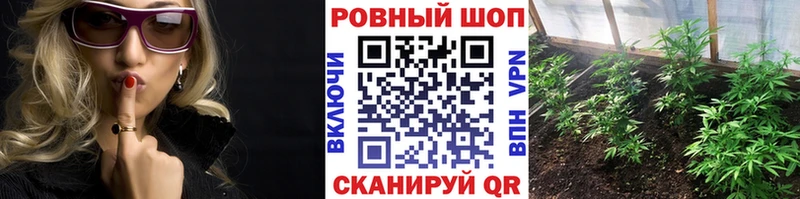 Магазины продажи наркотиков Салаир ГЕРОИН  МАРИХУАНА  АМФЕТАМИН  Гашиш  МЕФ  Alpha-PVP 