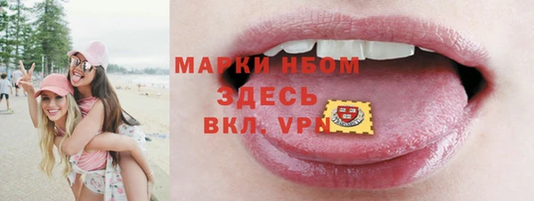 прущие грибы Баксан