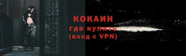 прущие грибы Баксан