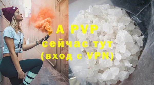 прущие грибы Баксан
