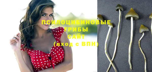 амф Балахна