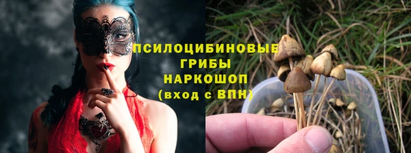 амф Балахна