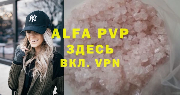 прущие грибы Баксан