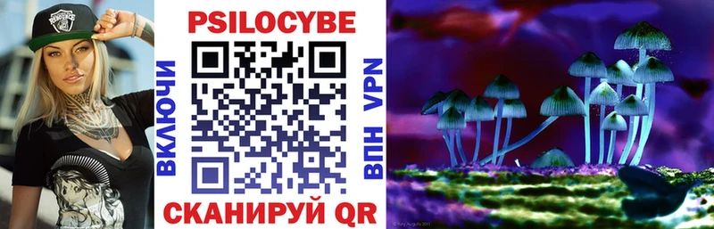 shop телеграм  Салаир  Галлюциногенные грибы прущие грибы 