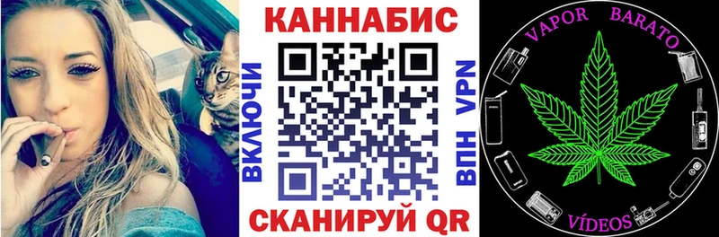 Каннабис семена  Салаир 